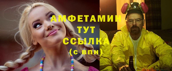 амф Верея
