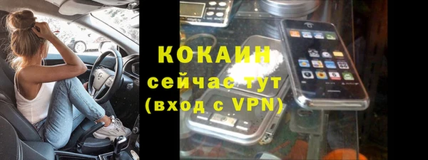 амф Верея