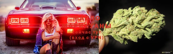 ECSTASY Бородино