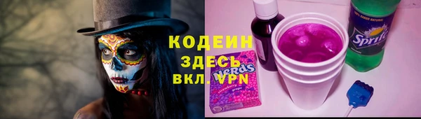 ECSTASY Бородино
