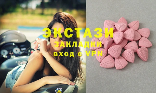 ECSTASY Бородино