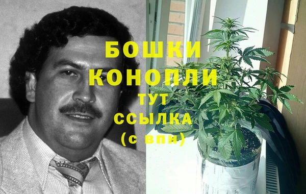 амф Верея
