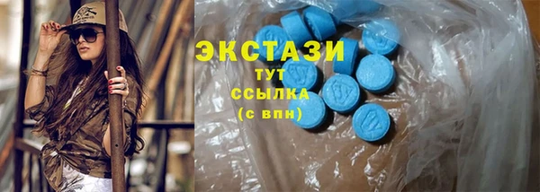 ECSTASY Бородино