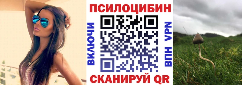 купить наркотик  Чита  Псилоцибиновые грибы Psilocybe 
