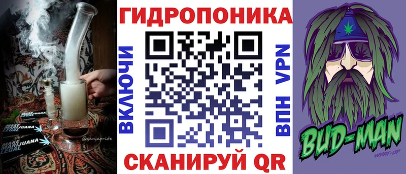 продажа наркотиков Чита mega маркетплейс Шишки марихуана Amnesia